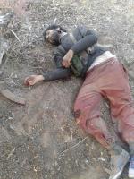 صور للإرهابيين الذين قتلوا على يد قواتنا المسلحة صباح اليوم في بن قردان